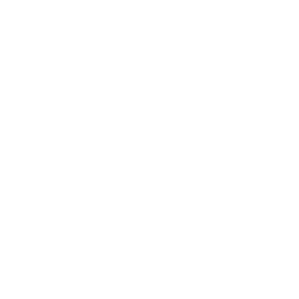 熨烫刷